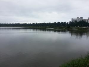 Lagoon field trip at Gangneung 이미지