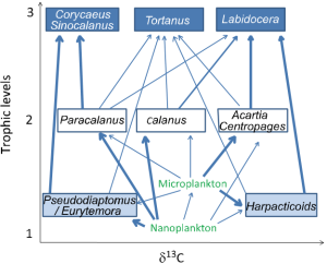 Variability in copepod trophic levels and feeding selectivity based on stable isotope analysis in Gwangyang Bay of the southern coast of the Korean Peninsula 이미지