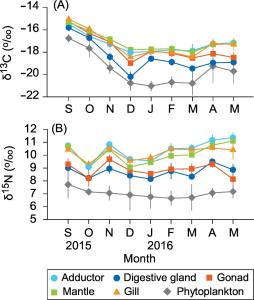 Gross biochemical and isotopic analyses of nutrition-allocation strategies for somatic growth and reproduction in the bay scallop Argopecten irradians newly introduced in 이미지