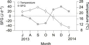 Growth of the longline-cultured sea squirt Halocynthia roretzi in a temperate bay of Korea: Biochemical composition and physiological energetics 이미지