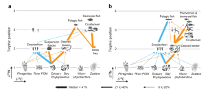 Identifying patterns in the multitrophic community and food-web structure of a low-turbidity temperate estuarine bay 이미지