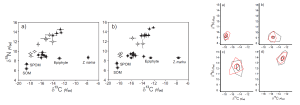 Assessment of restoration success in a transplanted seagrass bed based on isotopic niche metrics 이미지