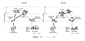 Trophic structures of artificial reef communities off the southern coast of the Korean peninsula as determined using stable isotope analyses 이미지