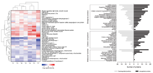 Physiological responses of the abalone Haliotis discus hannai to daily and seasonal temperature variations 이미지