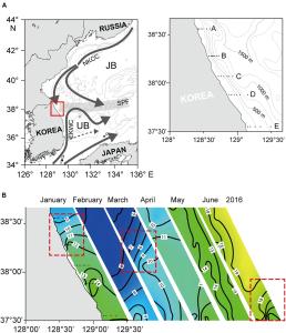 Impact of Shifting Subpolar Front on Phytoplankton Dynamics in the Western Margin of East/Japan Sea 이미지