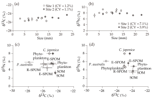 Identification of Phytoplankton-Based Production of the Clam Corbicula japonica in a Low-Turbidity Temperate Estuary Using Fatty Acid and Stable Isotope Analyses 이미지