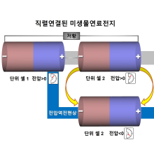 미생물 연료전지 실용화 난제 극복을 위한 길잡이 제시 이미지