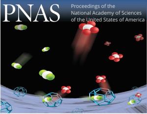 Sequestering Carbon Dioxide into Complex Structures of Naturally Occurring Gas Hydrates
