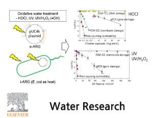 Inactivation efficiency of plasmid-encoded antibiotic resistance genes during water treatment with chlorine, UV, and UV/H2O2