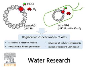 Degradation and deactivation of plasmid-encoded antibiotic resistance genes during exposure to ozone and chlorine