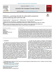 PrBaFe2O5+δ  promising electrode for redox-stable symmetrical proton-conducting solid oxide fuel cells