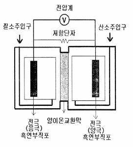 Biofuel cell using activated sludge for wastewater and wastewater treatment